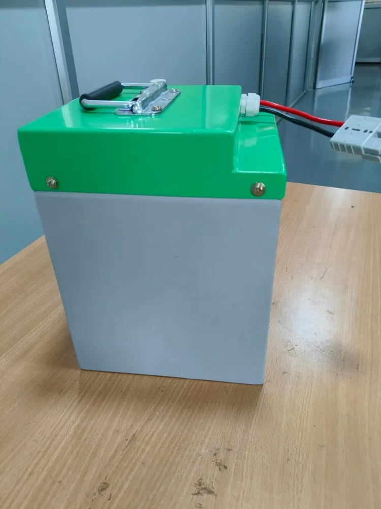 48V Trasal Prismatic With Samrt BMS Lithium Ion Battery